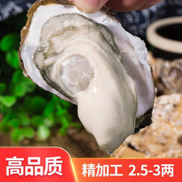 威海乳山生蚝金给利加工厂联系电话是多少缩略图