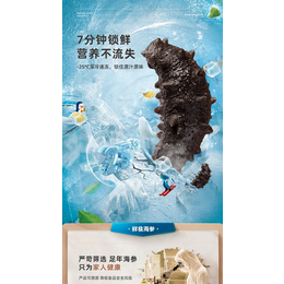 威海海产品海参海蛎子海鲜深海鱼食品广告拍摄设计缩略图