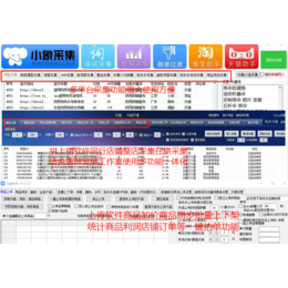 拼多多软件代理后台拼上拼淘上拼软件店群运营技术教学