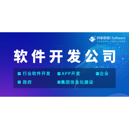 成都软件开发外包公司（APP软件开发+企业管理软件开发）