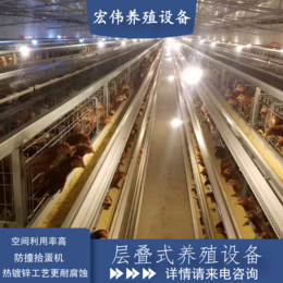 荥阳宏伟养殖场用养鸡笼子图片 蛋鸡自动化养殖设备原产地发货