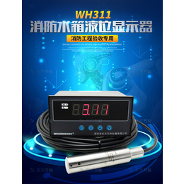 耐腐蚀水位传感器WH311