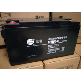 三瑞蓄电池6FM65-X 免维护 阀控式铅酸蓄电池