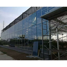 玻璃温室-千宏温室工程公司-玻璃温室哪家好