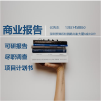 深圳商业计划书——汉语的国内外市场分析 
