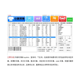 荆州店群软件招商代理报价