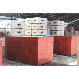 建筑木模板生产厂家-盛大华宇木业-莱芜建筑木模板