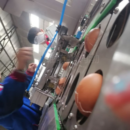 翰润渤6000型咸鸭蛋蛋清蛋黄分离机 自动蛋黄蛋清磕蛋机