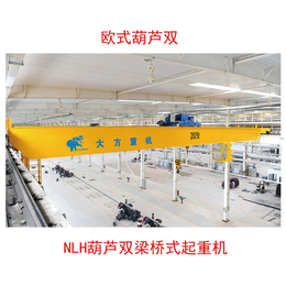 100吨以下NLH型 <em>欧式</em>双梁起重机 可定制生产加工