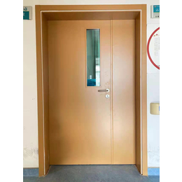 铜仁定制钢质门防水-定制-净化门