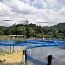 圆形高密度养殖池水产养殖镀锌板支架帆布鱼池排污方便好安装