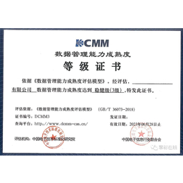 滕州dcmm数据管理能力成熟度评估