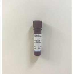 DAPI染色液（5mg/ml） 细胞核染料 江苑生物