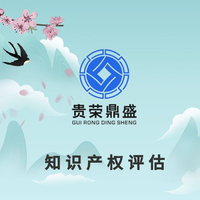 广州市知识产权质押评估专利融资评估