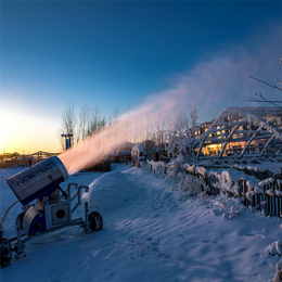 景区雪雕小型嘻雪乐园造雪机 多种型号可选人工制雪设备
