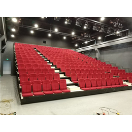 剧场活动座椅-展达体育-活动座椅