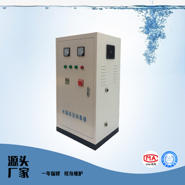 深度氧化水处理机外置式水箱自洁消毒器仁创环保水处理设备