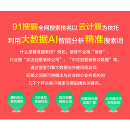 百度平台推广工具-湖北91搜霸-荆州平台推广工具