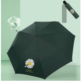 文山全自动直把雨伞砚山只把折叠雨伞价格定做富宁雨伞批发厂家