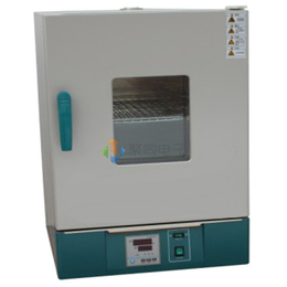 工业恒温鼓风干燥箱DHG9920/B多功能
