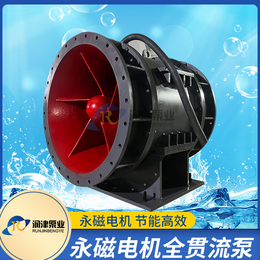 900QGWZ-155KW湿式潜水全贯流泵厂家 润津泵业缩略图