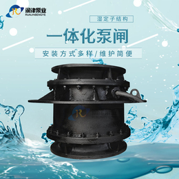 闸门水泵一体化设备 潜水全贯流闸门泵生产制造 润津泵业