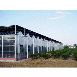 玻璃温室-潍坊千宏温室工程-玻璃温室价格