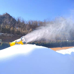户外大型全自动降雪设备 滑雪场雪景制造 人工造雪机报价