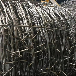 河北镀锌刺绳厂家供应温州公路刺网自贡绿色钢丝网