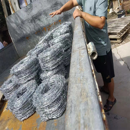 河北镀锌刺绳厂家供应宁波园林绿化防护网金华包塑刺铁丝