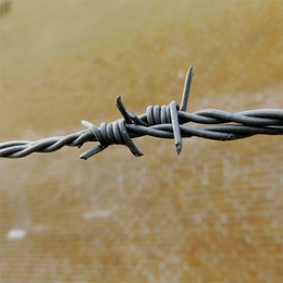 河北镀锌刺绳厂家供应邢台带刺铁丝网保定铁刺铁丝网
