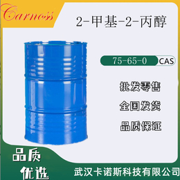 叔丁醇75-65-0 和化工原料