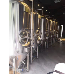 山东啤酒设备日产5吨精酿啤酒设备酿啤酒设备多少钱