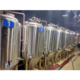 日产2吨啤酒酿造设备价格精酿啤酒设备多少钱