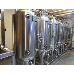 广州啤酒设备精酿啤酒设备啤酒设备厂家500升啤酒设备