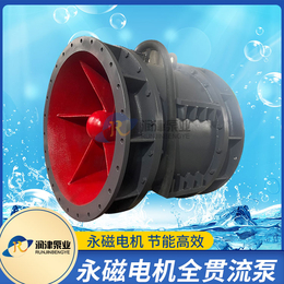 潜水全贯流泵制造 一体化泵闸用闸门泵源头供应 润津泵业