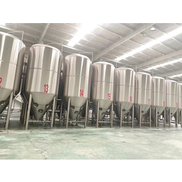 黑龙江大型啤酒厂酿酒设备日产10吨设备 啤酒发酵罐