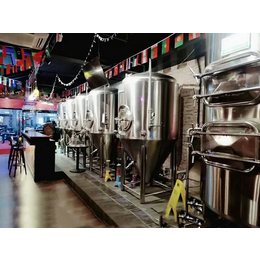 做精酿啤酒的设备机器 500升小型啤酒设备 酒吧精酿啤酒设备