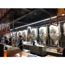 山东啤酒屋小型精酿啤酒设备 1000升啤酒酿造设备