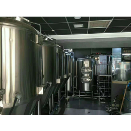 500升啤酒生产设备 精酿啤酒设备厂家杭州啤酒设备