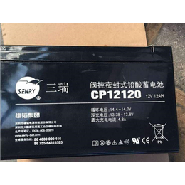 供应 三瑞蓄电池6FM45-X 三瑞12V45AH