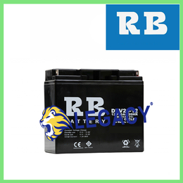 RB蓄电池RBV55阀控式铅酸免维护蓄电池缩略图