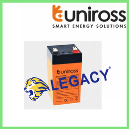 Uniross蓄电池ULAB12V9AH阀控式免维护蓄电池缩略图