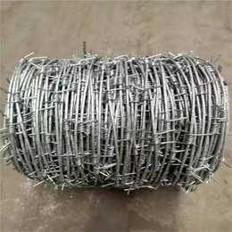 河北镀锌刺绳厂家供应丹东高速公路铁丝网绿色铁丝网