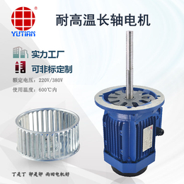 非标定制 2.2KW耐低温长轴电机YS100L-4