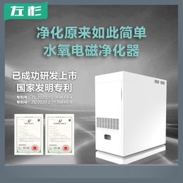 左杉新型水氧电磁空气净化器家用除甲醛雾霾pm2.5缩略图