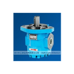 液压泵常见故障 泊姆克齿轮泵维修 A7V80DR