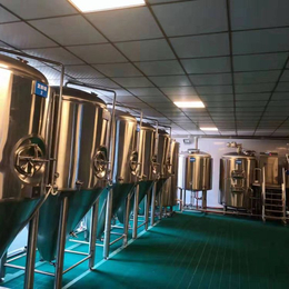 河南饭店精酿啤酒生产设备 2吨啤酒设备发酵罐啤酒酿造设备
