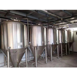 沈阳酒店精酿啤酒设备日产500升啤酒糖化设备啤酒设备厂家