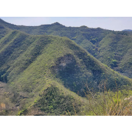 废弃矿区生态环境恢复工程土壤粘合剂